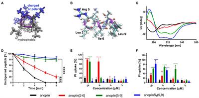 Stapled Anoplin as an Antibacterial Agent